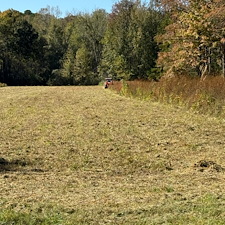 Bush-Hogging-Services-in-Oxford-MS 3